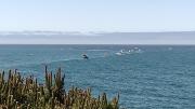 3Fleet of Flowers ocean